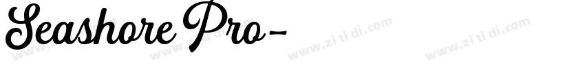Seashore Pro字体转换